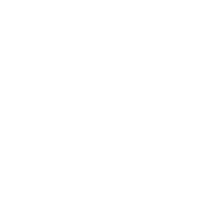 ARIESFunny Shirts