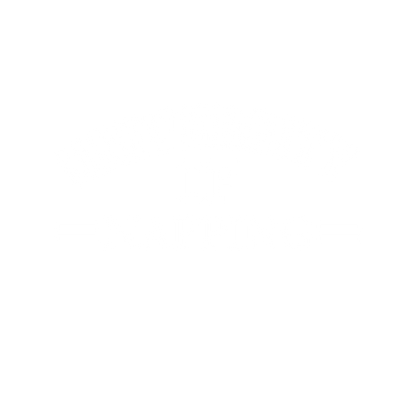 Univeristy of Napping Funny Tee