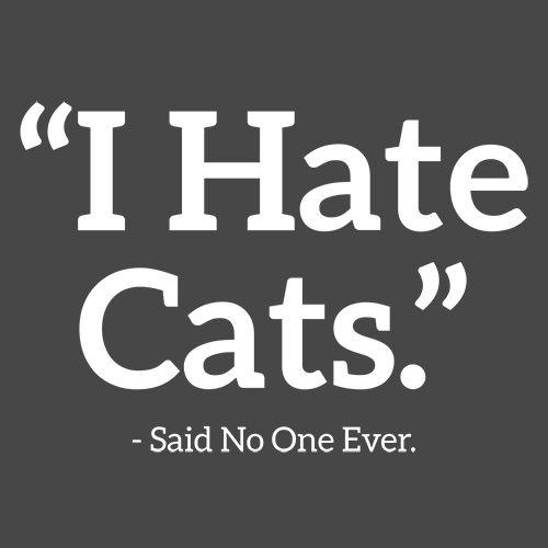 I hate 2025 cats t shirt