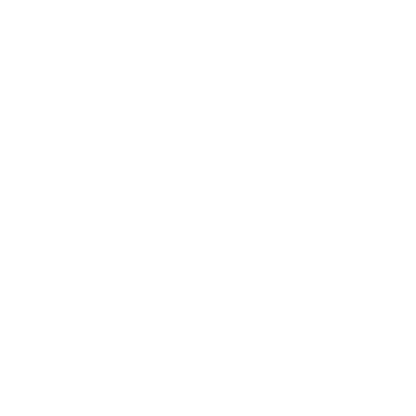 Funny T-Shirts design "WTF CUPID"